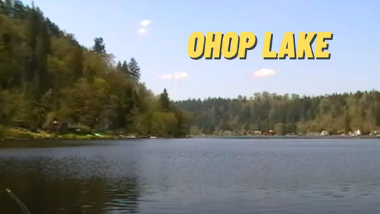 Ohop Lake: Fishing Location in Pierce County