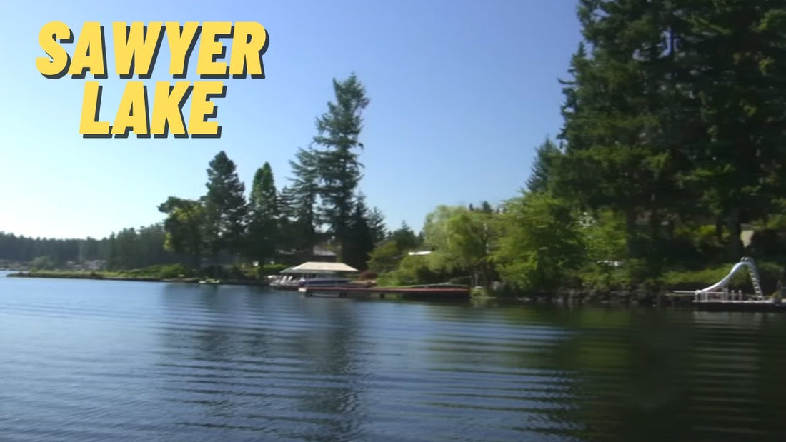 Sawyer Lake: Fishing Location in King County