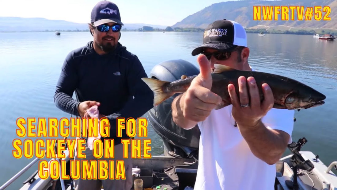 Brewster Pool Sockeye Salmon on the Columbia | NWFRTV#52