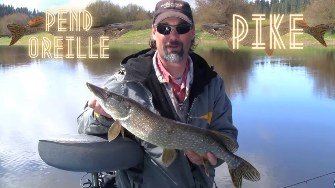 Pend Oreille Pike Fishing