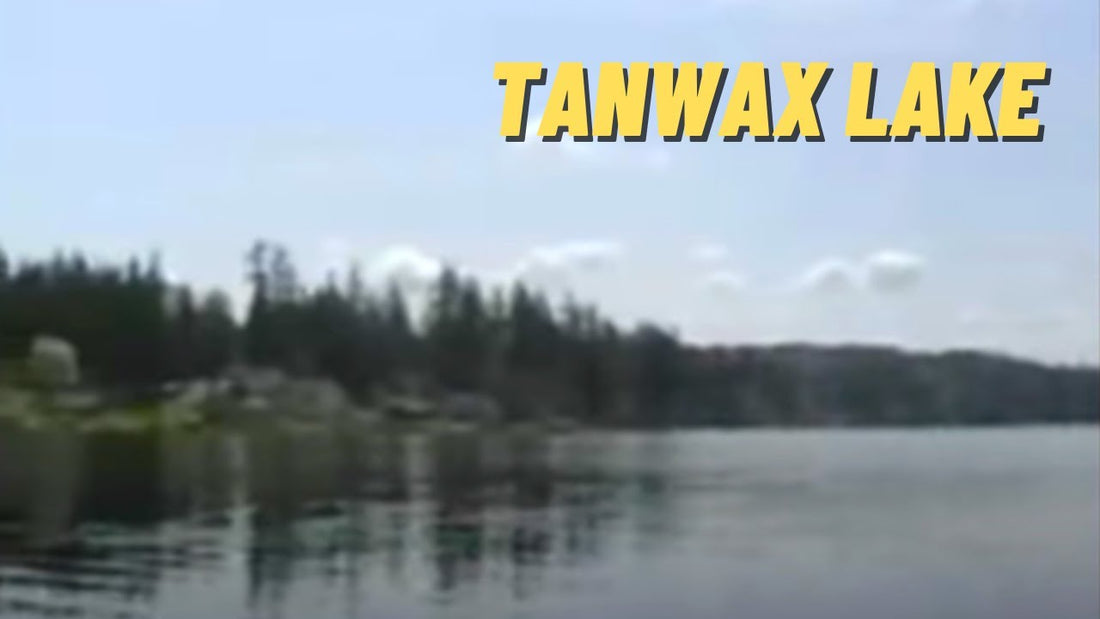 Tanwax Lake: Fishing Location in Pierce County