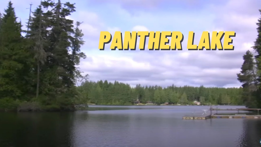 Panther Lake: Fishing Location in Kitsap County