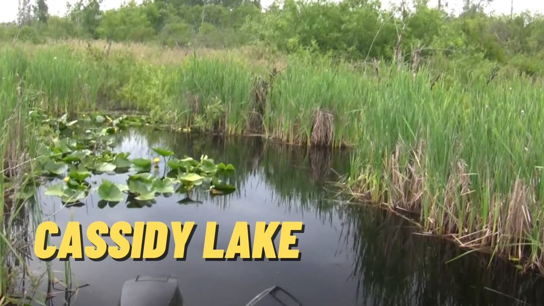 Cassidy Lake: Fishing Location in Snohomish County