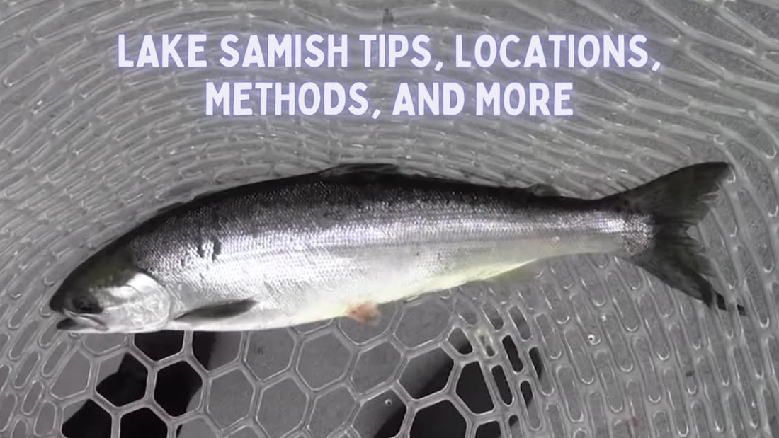 Lake Samish Spring Kokanee Fishing - Extended Cut