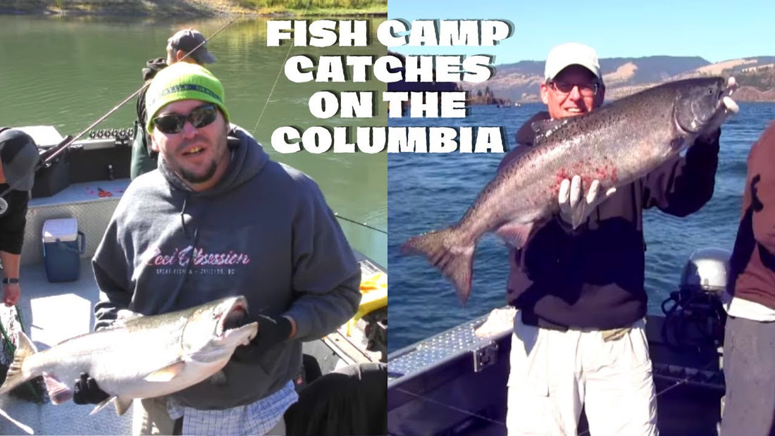 Columbia River Fall Chinook Fishing at Fish Camp 2016 - Extended Cut