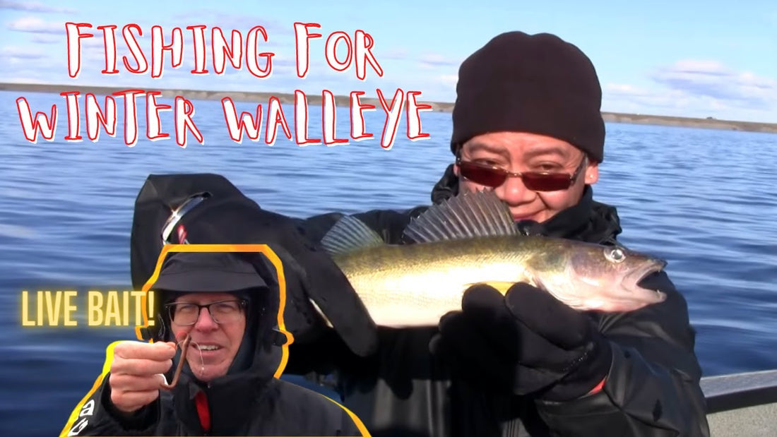 Winter Walleye on the Potholes