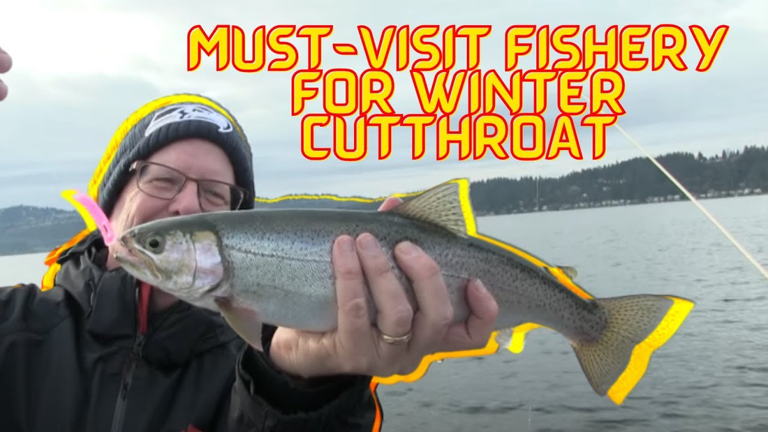 Lake Sammamish Winter Cutthroat - Extended Cut