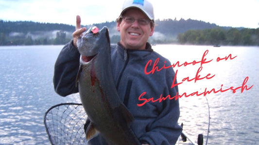 Lake Sammamish Chinook Salmon