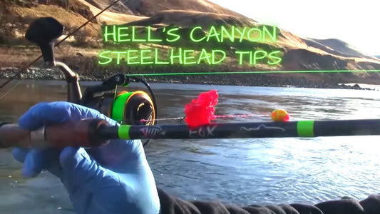 Hell's Canyon Steelhead - Extended Cut