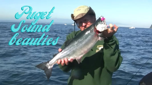 Pink Salmon Jigging at the Shipwreck