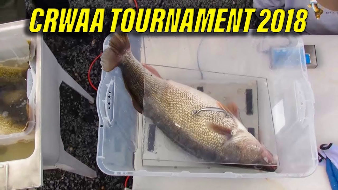 Columbia River March Walleye Tournament 2018 - Extended Cut