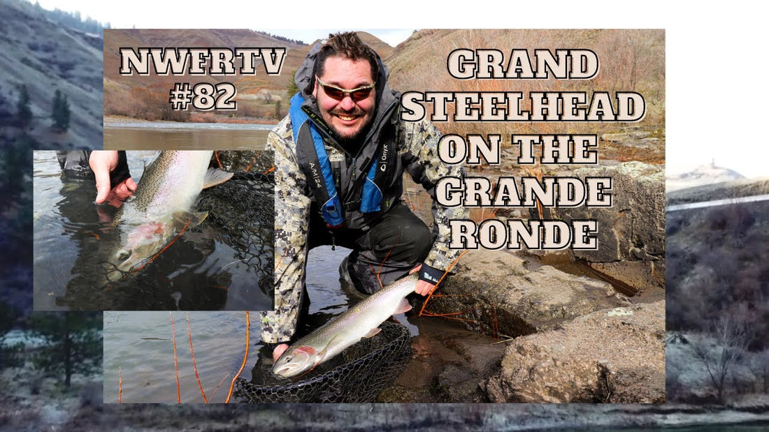 Grande Ronde Steelhead | NWFRTV#82