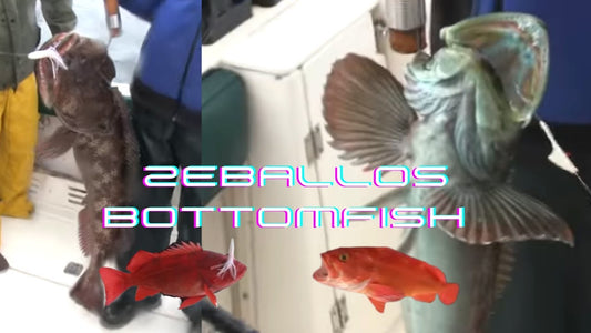 Zeballos Trolling for Bottomfish - Extended Cut