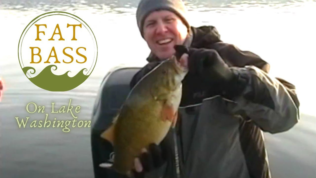 Winter Smallmouth Bass Fishing on Lake Washington