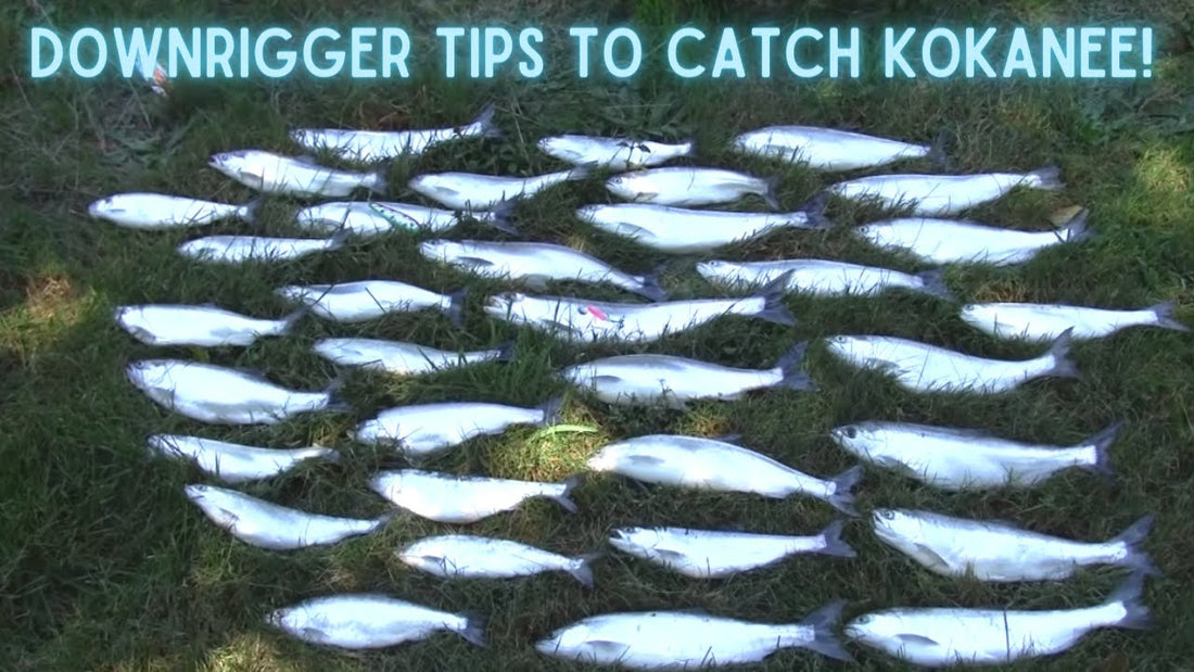 Advanced Downrigger Stacking Techniques for Kokanee