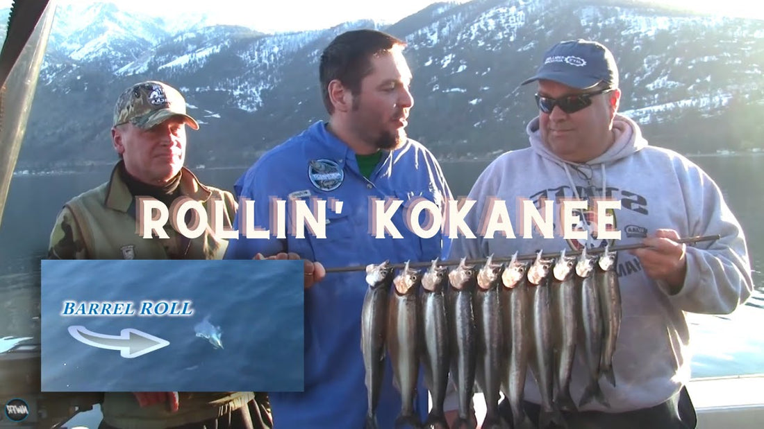 Chelan Winter Kokanee