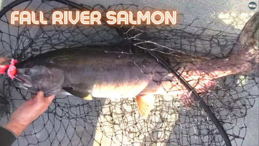 Late Fall Columbia Chinook Fishing with Captain Dave - Extended Cut