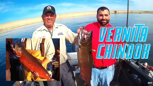 Columbia River Chinook at Vernita