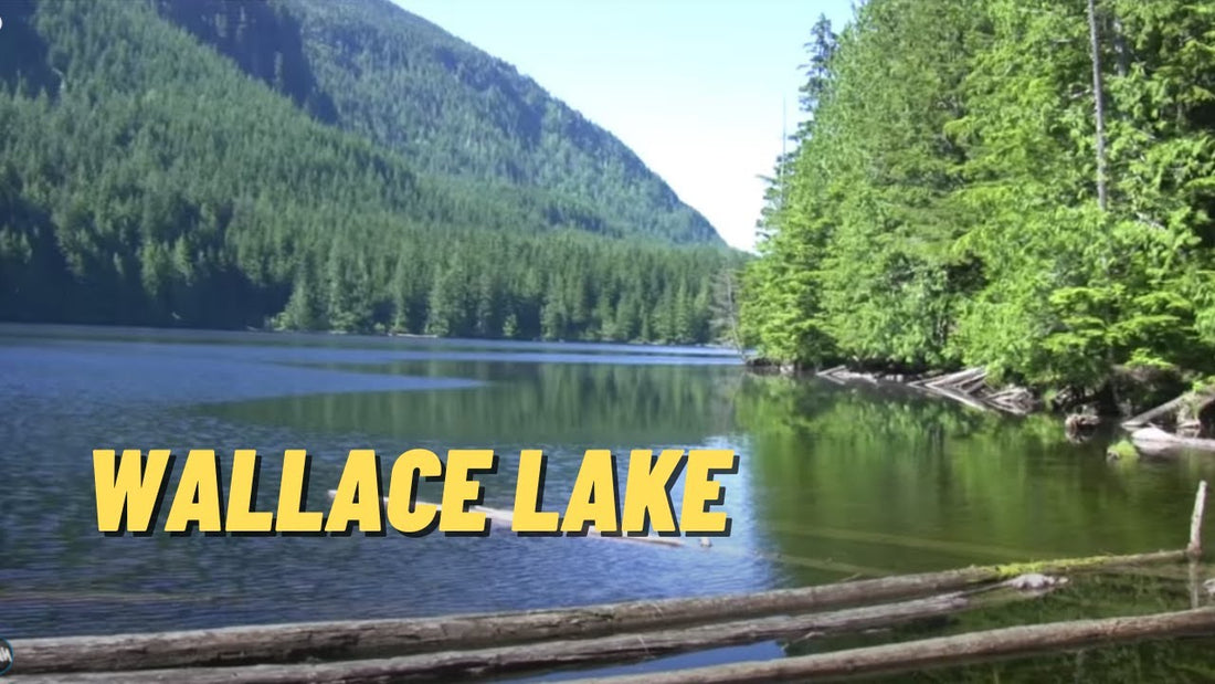 Wallace Lake: Fishing Location in Snohomish County