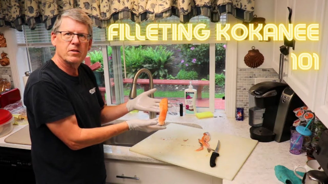 Filleting Kokanee 101