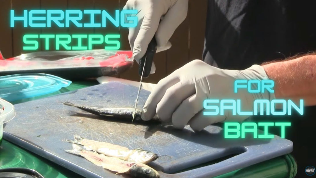 Herring Strips 101