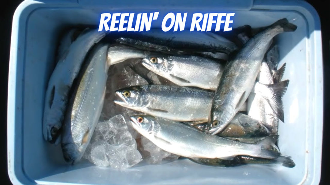 Riffe Lake Coho Fishing