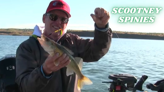 Scootney Walleye Primer in Central Washington - Extended Cut