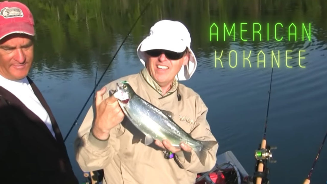 American Lake Kokanee Fishing