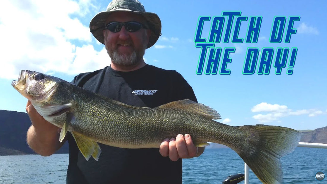 Banks Lake Walleye Catchin'