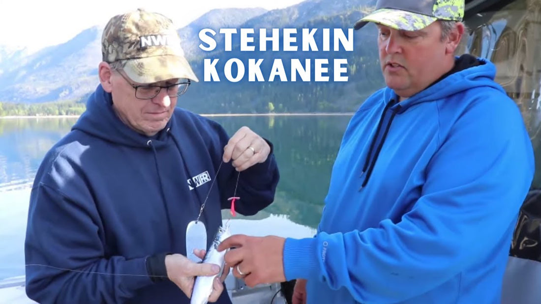 Stehekin Lake Chelan Kokanee Fishing (Plus Bonus Kings!) - Extended Cut