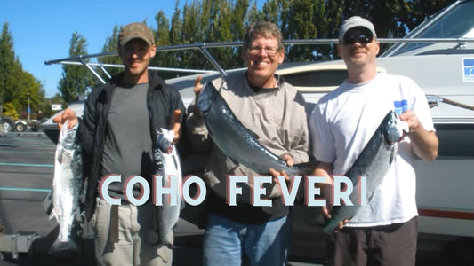 Central Sound Coho Fever