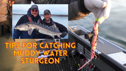 Dirty/Muddy Water Tip from Top Guide