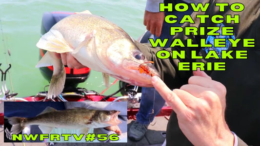 Walleye Fishing Tips from Lake Erie | NWFRTV#56