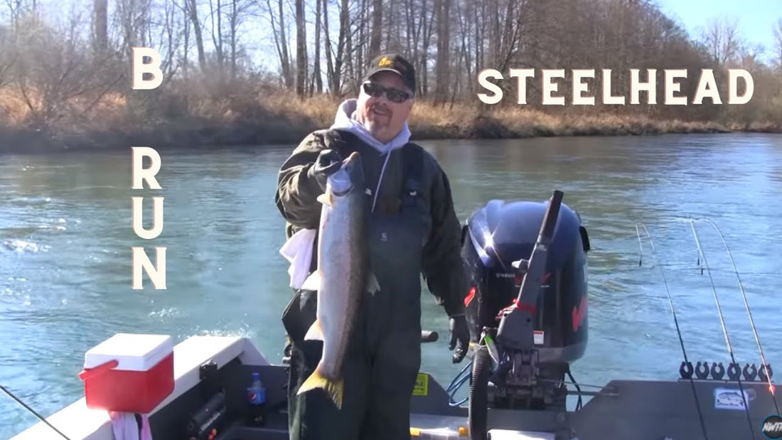 Cowlitz River B Run Steelhead - Extended Cut