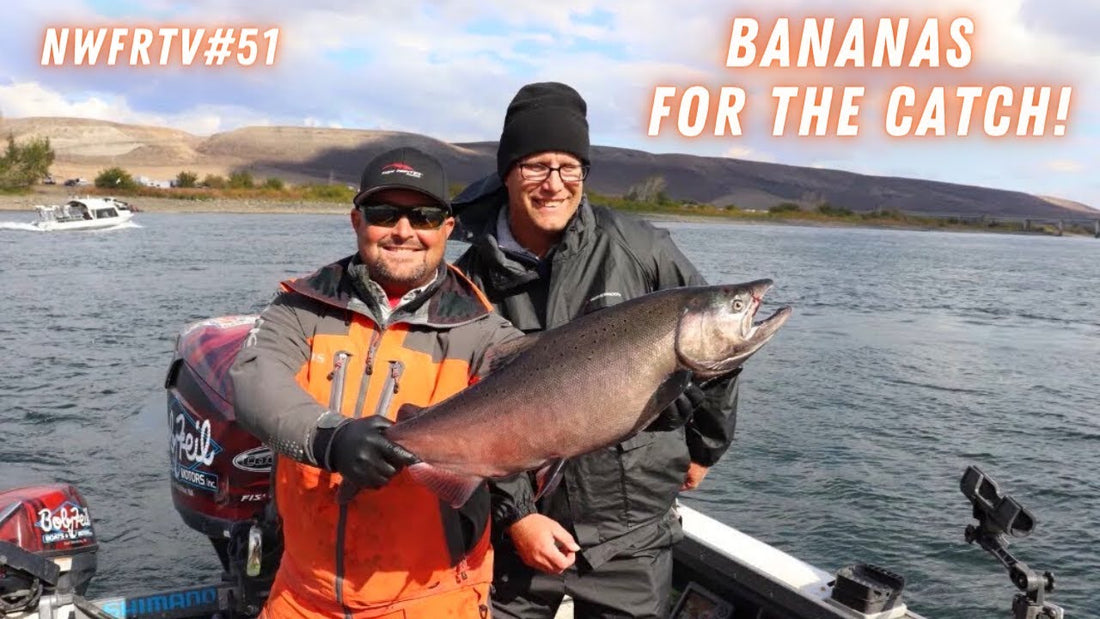 Upriver Columbia Salmon with The Fallen Outdoors & Bananas on Roesiger | NWFRTV#51