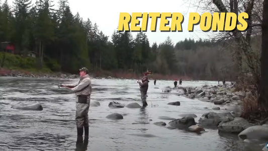 Reiter Ponds: Fishing Location on the Skykomish River