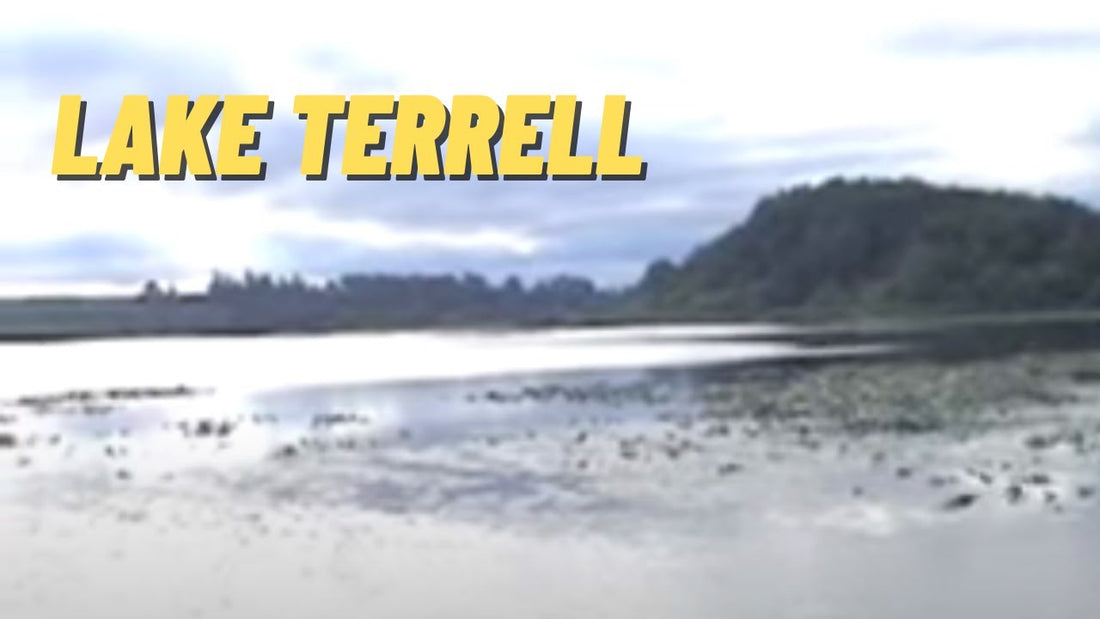 Lake Terrell: Fishing Location in Whatcom County