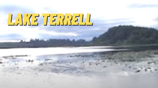 Lake Terrell: Fishing Location in Whatcom County