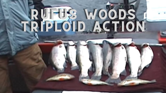 Rufus Woods Triploid Action 2008