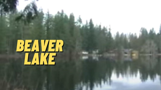 Beaver Lake: Fishing Location in King County