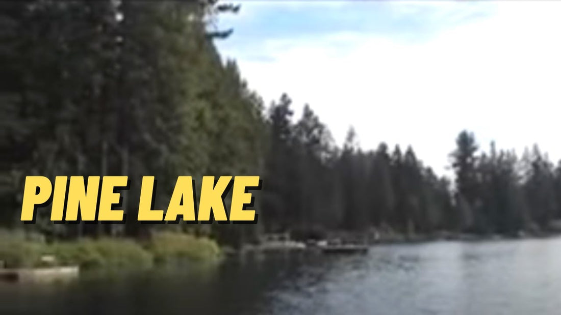 Pine Lake: Fishing Location in King County