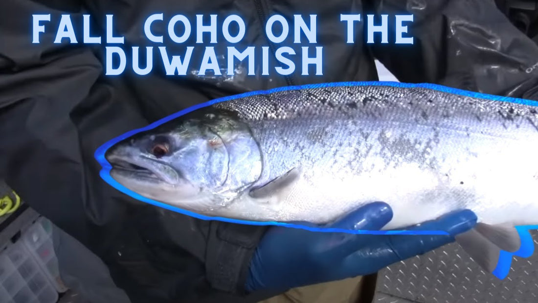 Duwamish Fall Coho Fishing