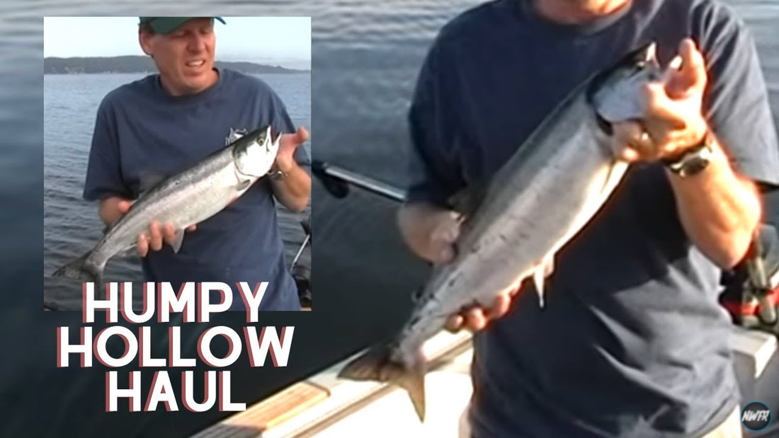 The Pink Salmon of Humpy Hollow