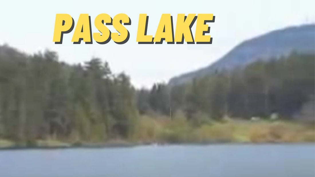 Pass Lake: Fishing Location in Skagit County