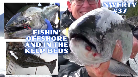 BC Offshore Halibut & Kelp Bed Salmon Fishing | NWFRTV#37