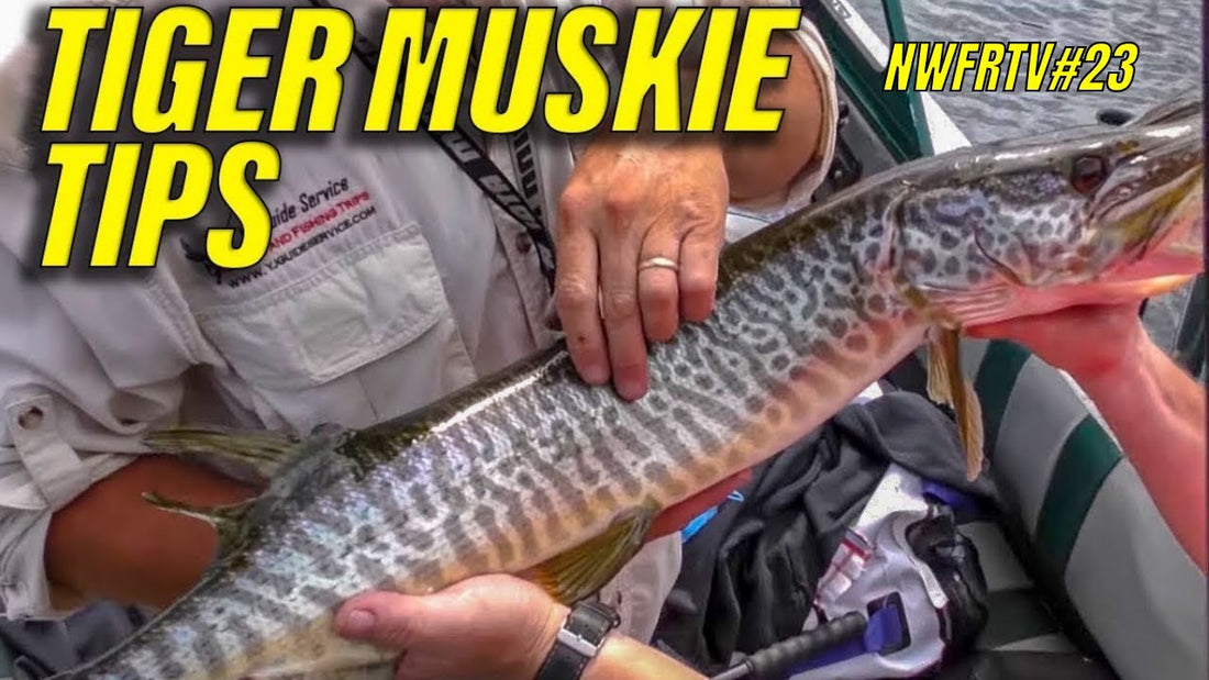 San Juan Islands King Salmon & Casting for Tiger Muskie | NWFRTV#23