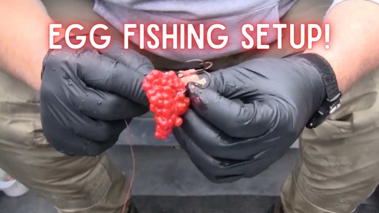 Fall Chinook Egg Fishing Setups – NWFtv