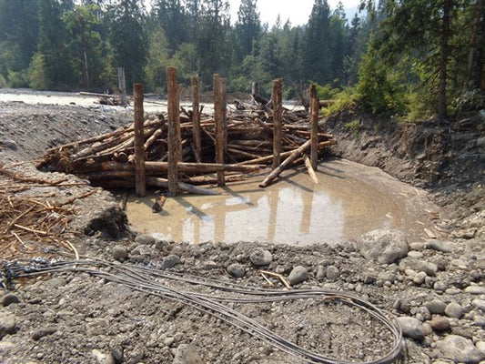 A Closer Look at Engineered Stream Structures for Habitat Restoration